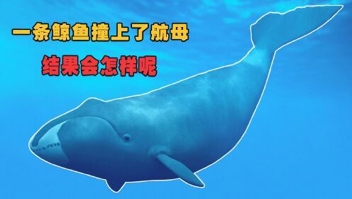 求偶游戏：一条鲸鱼意外撞上日本航母，结果鲸鱼没事航母快报废