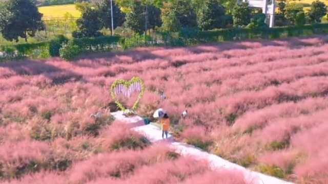 红色山水涧风景区这个地方你们认识嘛?