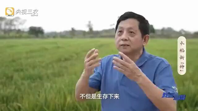 【国科报告厅】大国“粮”策丨“节水抗旱稻之父”罗利军的科研“稻”路