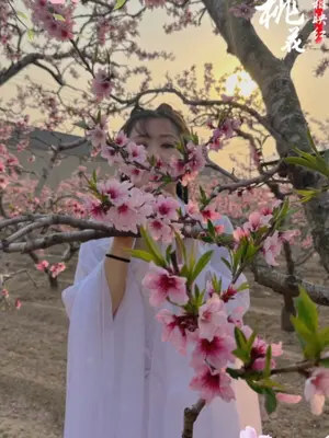桃花树下桃花仙#三生三世十里桃花 #古风