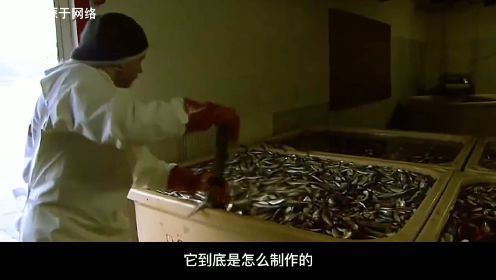 鲱鱼罐头为啥这么臭？它到底是怎么制作的？看完你还敢吃吗？
