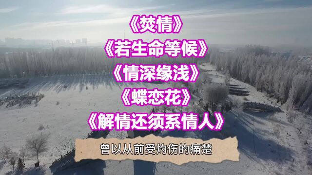 经典老歌186《焚情》《若生命等候》《情深缘浅》《蝶恋花》《解情还须系情人》