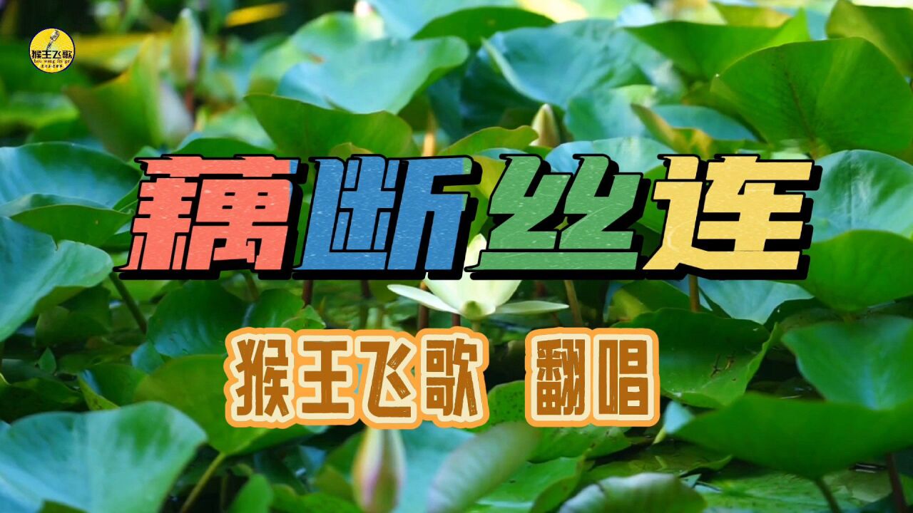 一首(藕断丝连)唱出无数人经历过的情感,伤心往事,难以愈合的痛