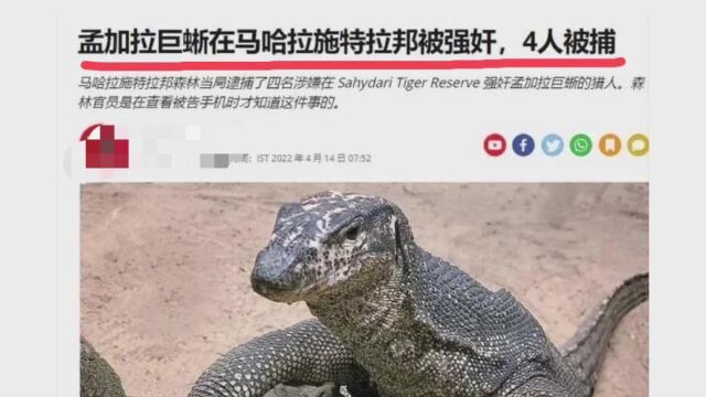 孟加拉巨蜥在马哈拉什特被强奸,4人被捕!