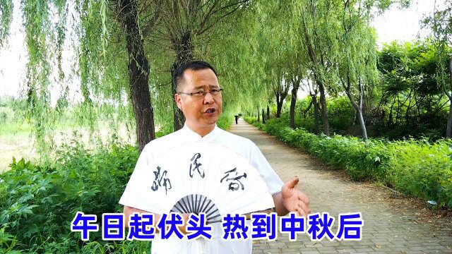 今年“午日起伏头,热到中秋后”,农村老人告诫:小心秋老虎