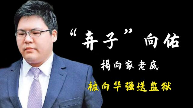 高喊我爸是向华强,向佑揭向家新义安老底?难怪向太对其只字不提