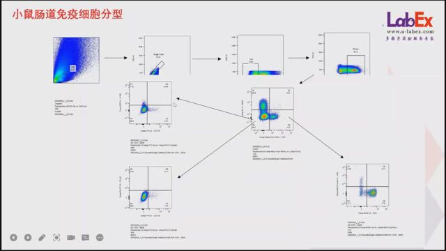 LabEx流式经验和常见Panel分享