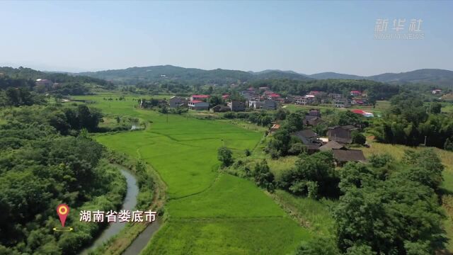 湖南娄底多措并举推进恢复耕地工作