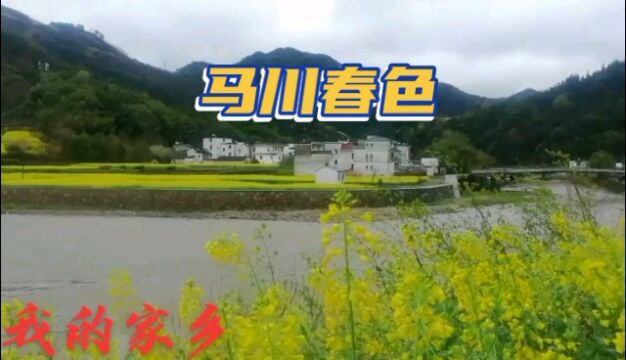 安徽省,歙县昌源河,杞梓里,马家枧,马川春色热门版.