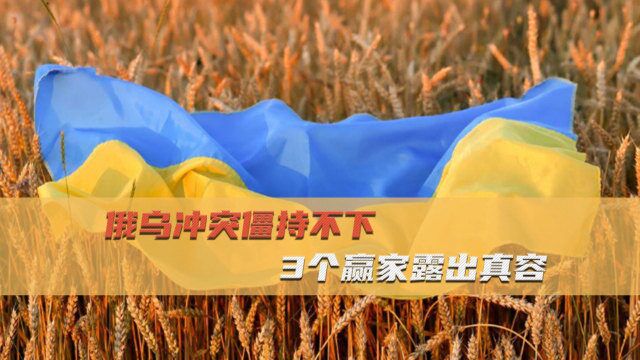 泽连斯基卖出1700万公顷农田,美趁机收割,比意大利全部耕地还多