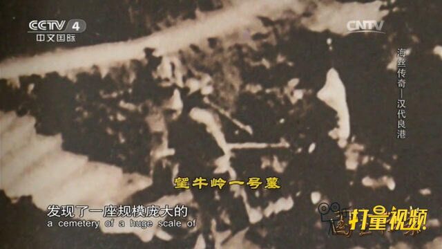 1972年1月,在广西省望牛岭发现了一座规模庞大的墓葬