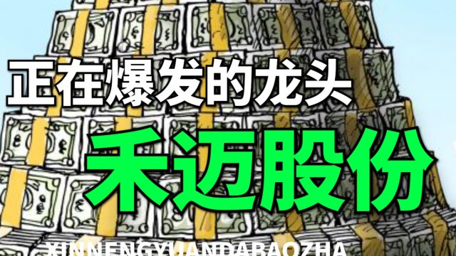 下一个阳光电源,禾迈股份,正在快速爆发的中国微型逆变器龙头!