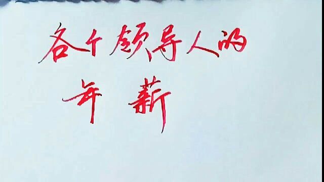 各个领导人的年薪