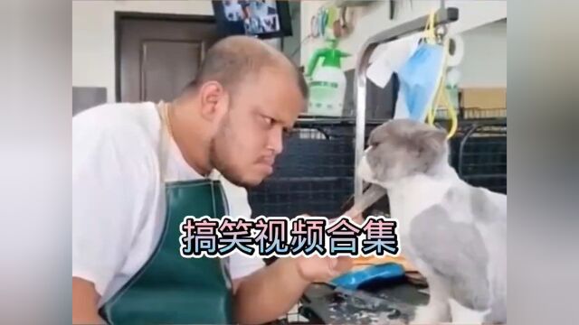 搞笑不搞笑?你知道我知道