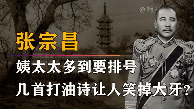 军阀张宗昌有多荒唐?老婆们号称“国际纵队”,招待朋友可陪侍!