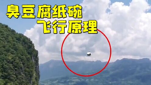 悬崖边发现UFO，竟是臭豆腐碗翱翔返航，纸碗如何利用中间轴定理飞行？