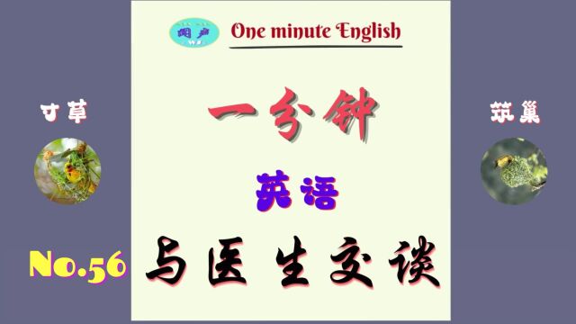 一分钟英语D56 与医生交谈 | 英语学习 | Learn English | 英语口语 | 英语语法 | Everyday En Conversation