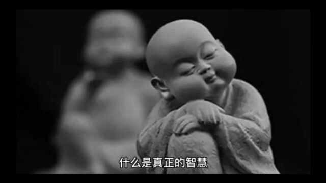 真正的智慧是什么