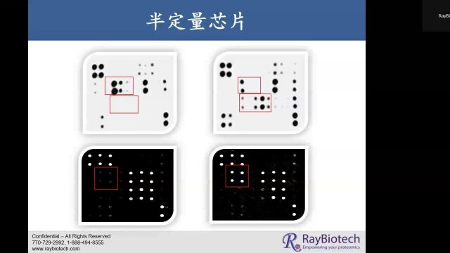 蛋白质芯片在生物标志物研究中的应用 Part1