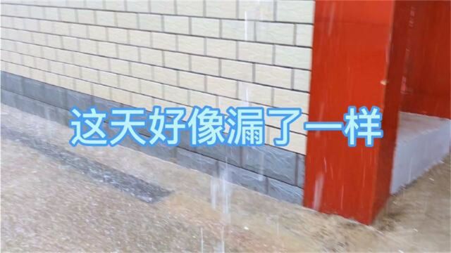 看看我们大街下大雨的样子你们见过吗?吓死你们,真不能在下了!