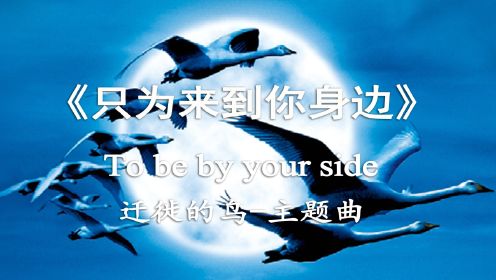 影视原声《迁徙的鸟》片尾曲 To be by your side只为来到你身边【中英字幕】