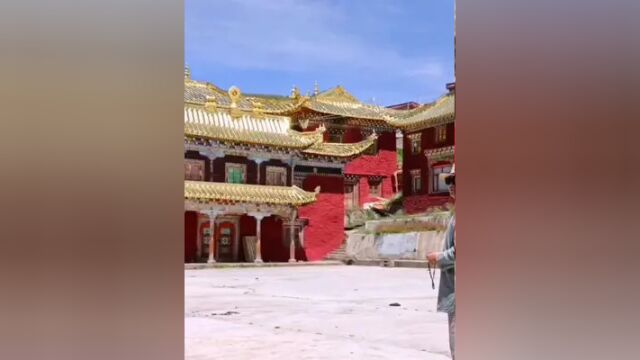 游学的意义是让我们在旅游的过程中真正感受这个世界#研学旅行