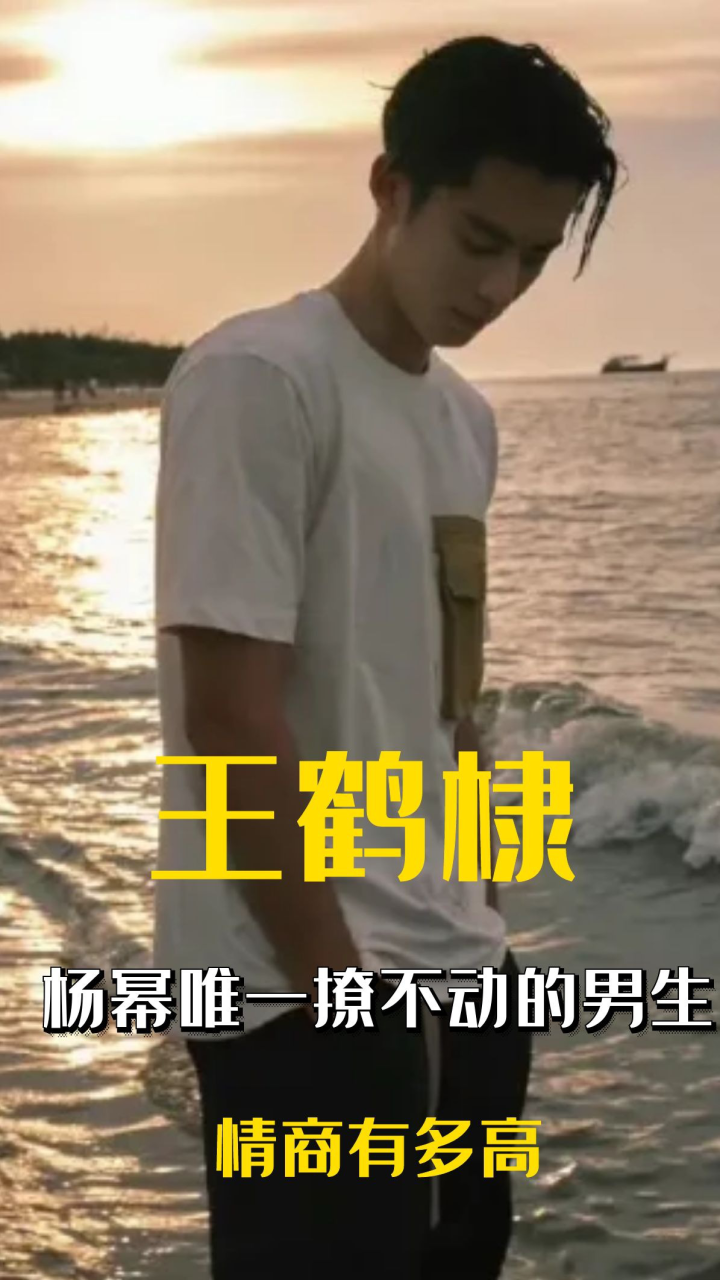 “一夜爆红”王鹤棣，杨幂唯一撩不动的男生，王鹤棣情商有多高？_高清1080P在线观看平台_腾讯视频
