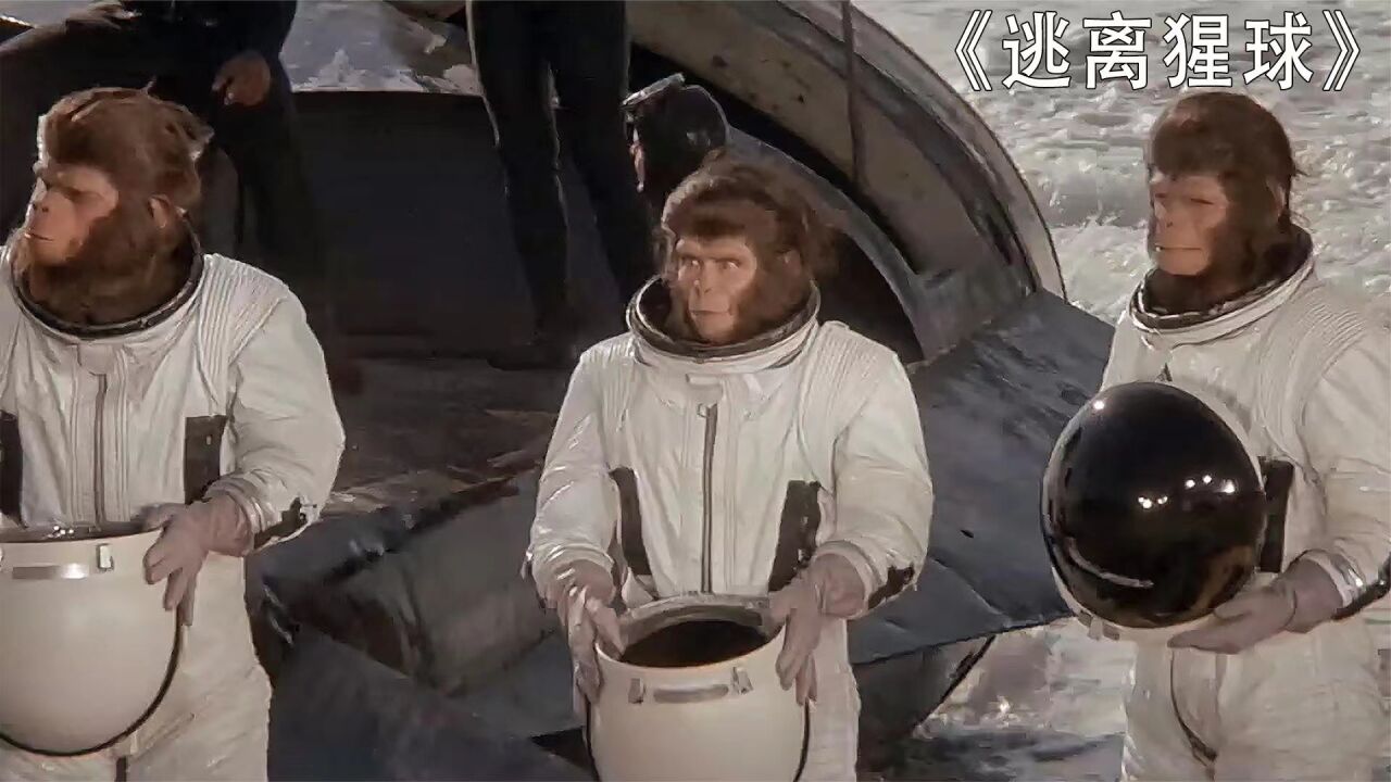 人猿穿越时间长河,做客地球,成为当代网络红人《逃离猩球》_腾讯视频