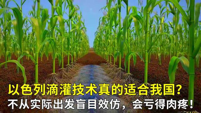 以色列滴灌技术真的适合我国?不从实际出发盲目效仿,会亏得肉疼