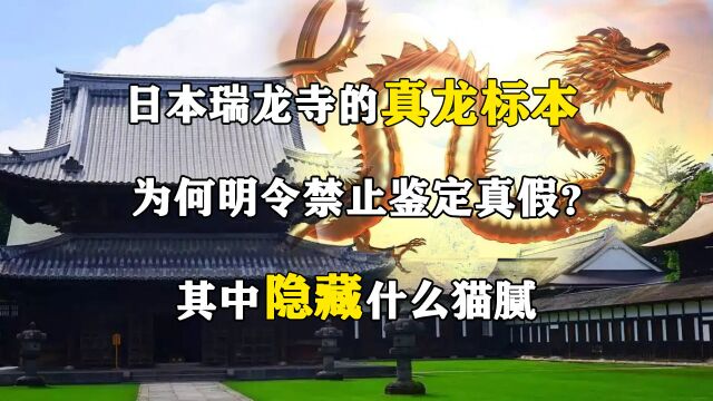 日本瑞龙寺的真龙标本,为何明令禁止鉴定真假?其中隐藏什么猫腻