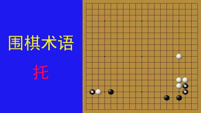 认识围棋术语托,通过托引申出托退定式,在布局中起着重要作用