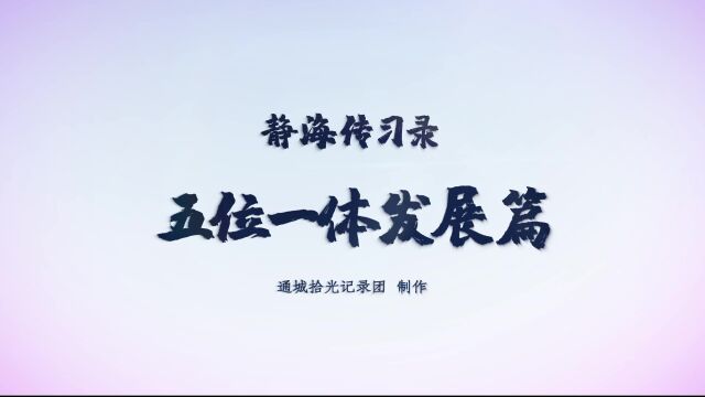 静海传习录——五位一体发展篇