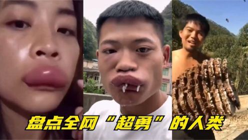 盘点那些超勇的人类：捅马蜂窝第一人！王灿王灿你为什么要漏饭！