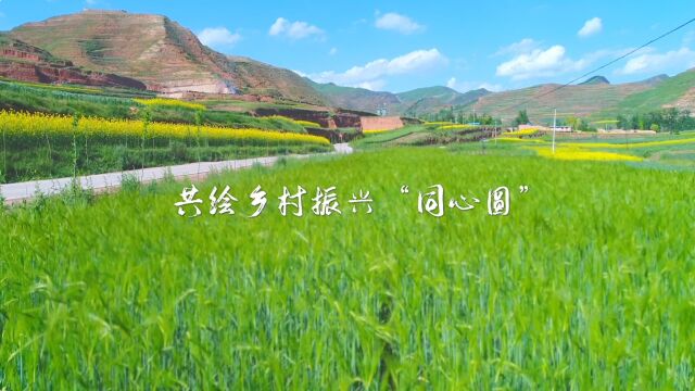 华夏银行乡村振兴向美而行ⷰ1共绘乡村振兴“同心圆”