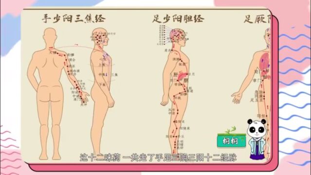 【中华文化大家学】中华传统故事系列之神农尝百草