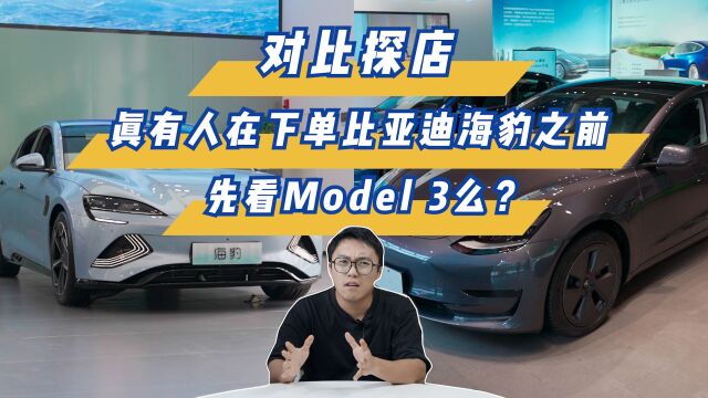 对比探店,真有人在下单比亚迪海豹之前先看Model 3么?