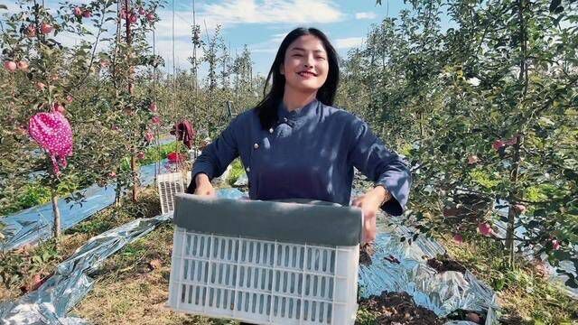 生活很苦,苹果却很甜 有一个地方叫:陕西彬州 一种特产叫:彬州红富士 一种模式叫:果园直邮到家 一种定位叫:从树上到你的舌尖