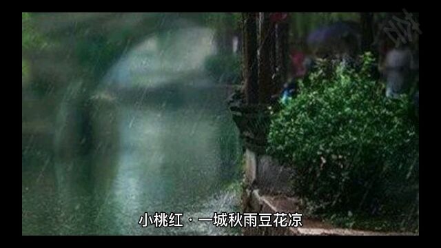 秋雨(三) 一首元曲