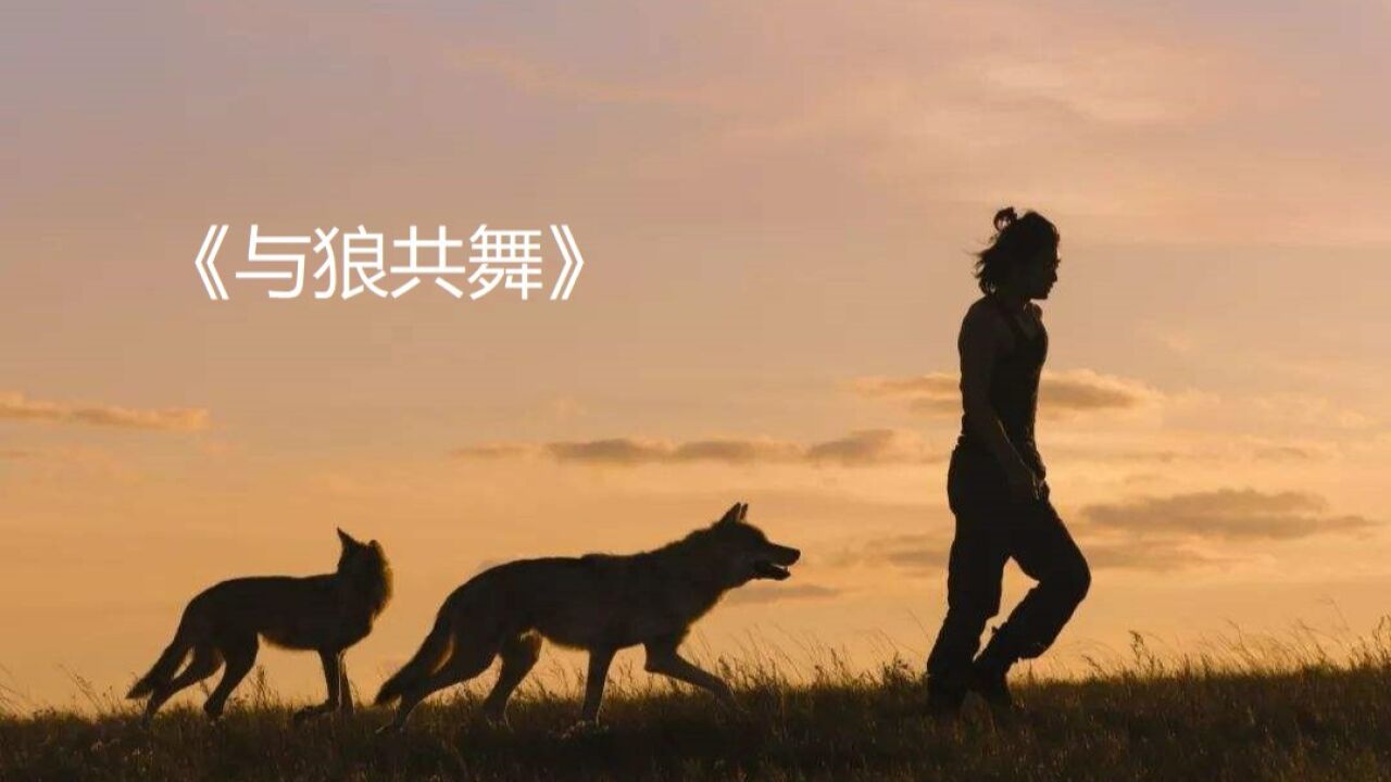 《与狼共舞》豆瓣9.0,这部4小时的电影上映一票难求,有的人宁愿站着也要看完!_高清1080P在线观看平台_腾讯视频