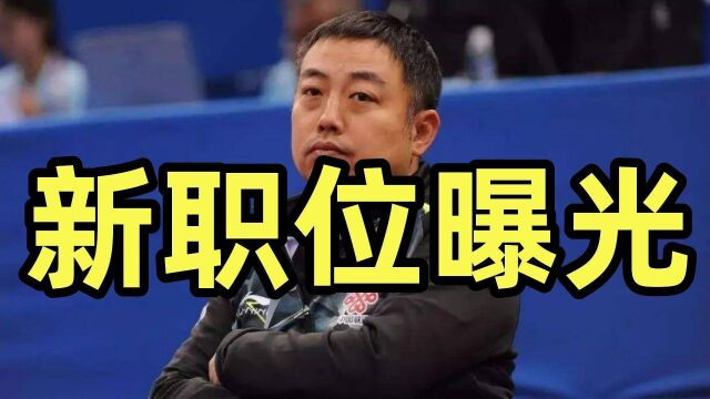 国际乒联终于想明白了,WTT正式官宣,刘国梁新职位曝光