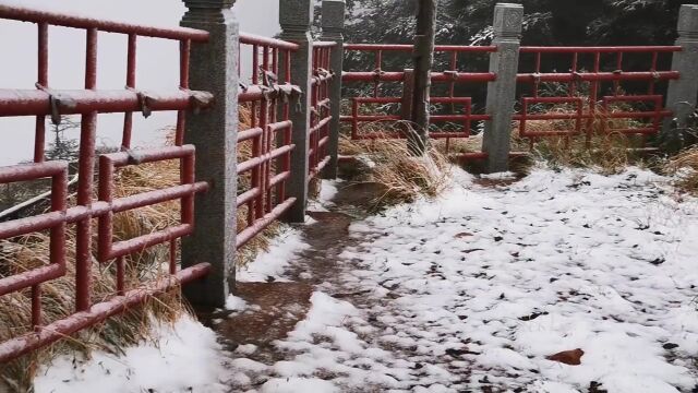 今天,刚入秋的峨眉山下雪啦!!!