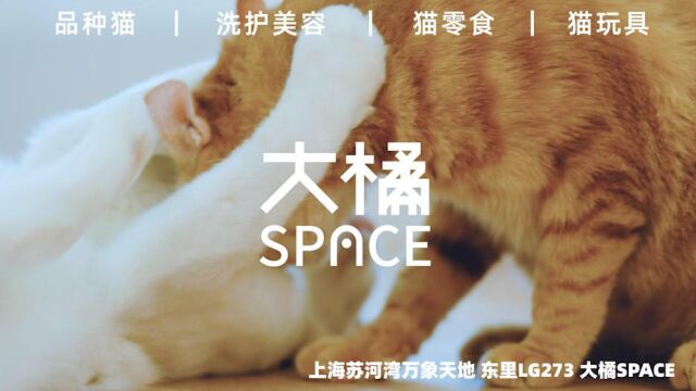 大橘SPACE