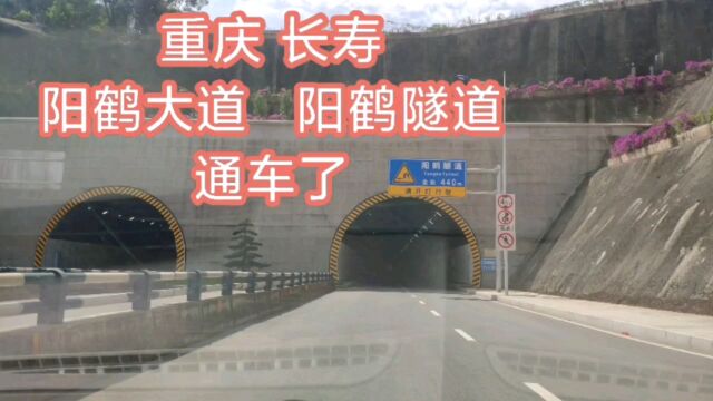 重庆长寿新城区 阳鹤隧道 阳鹤大道 通车了