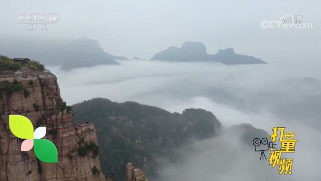 河南新乡:雨过天晴,太行山南麓现云海景观