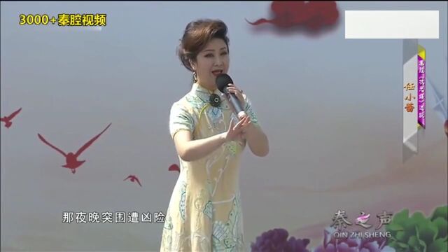 任小蕾秦腔《状元媒》嗓音甜美!