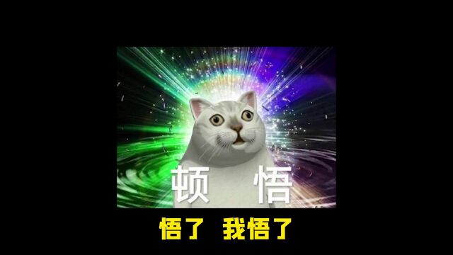 拿到这个羁绊就能第一?本赛季胜率最高羁绊来了!