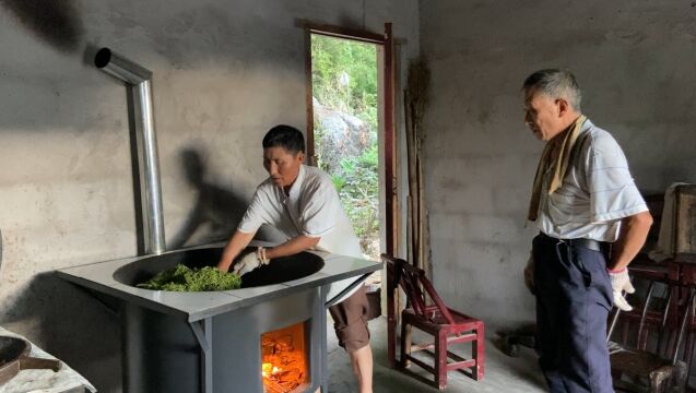 张家界村民加工莓茶,用灶锅炒茶,简单平淡的一天