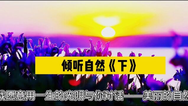 第22集:倾听自然《下》