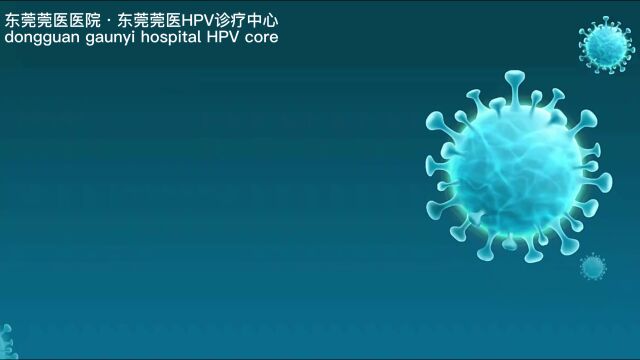 东莞看HPV的医院东莞莞医医院看hpv