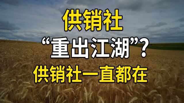 供销社“重出江湖”?其实供销社一直都在